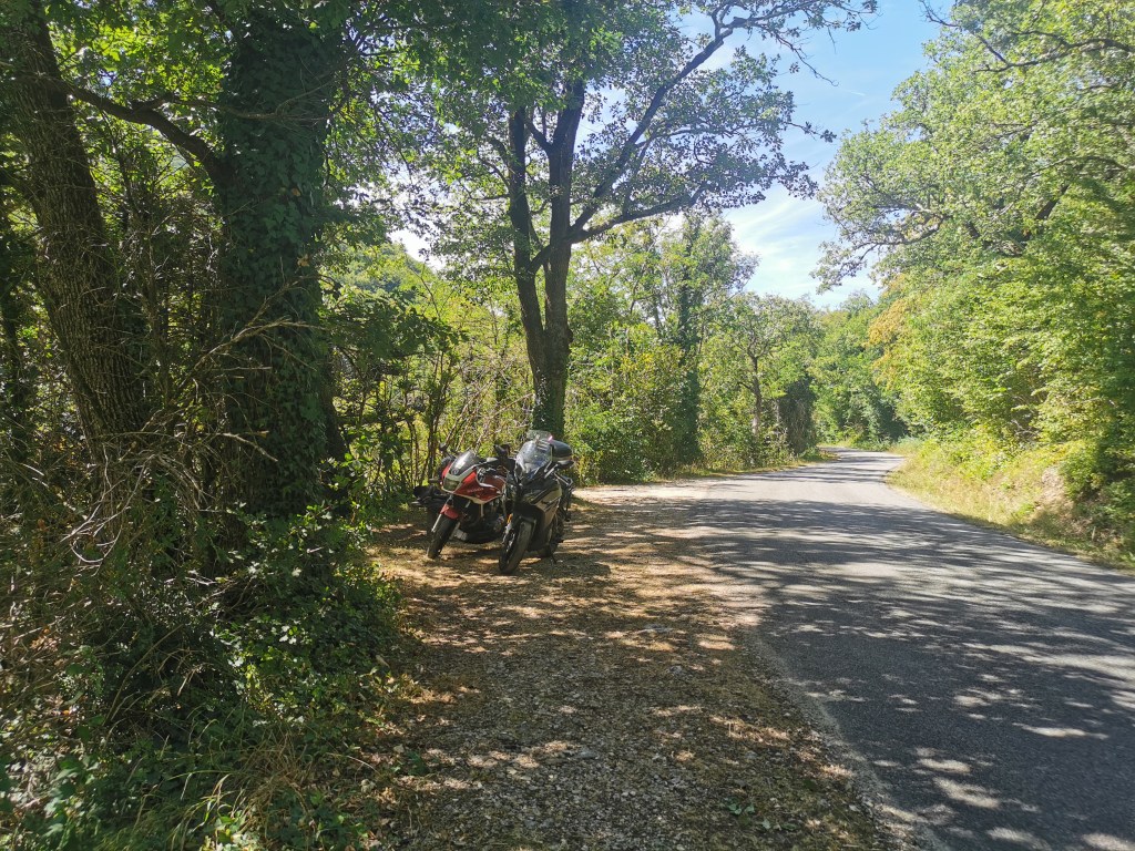 © C. Audigier - Forêt de Saou 4 Drôme
