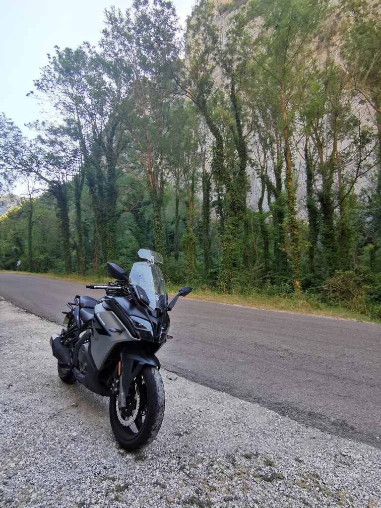 © C. Audigier - Forêt de Saou1 Drôme