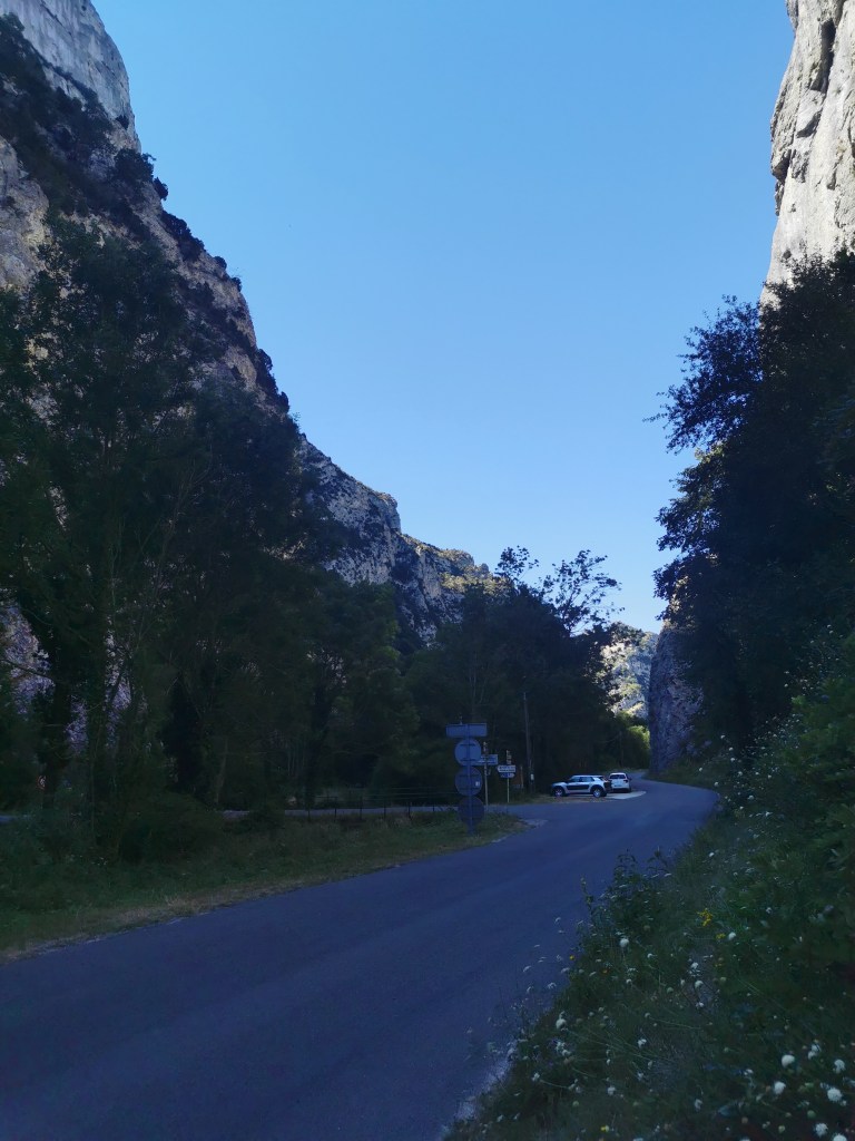 © C. Audigier - Forêt de Saou2 Drôme